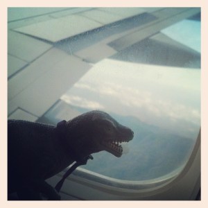 T-Jag admires the view from 30,000 feet