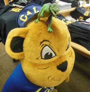 T-Jag vs Oski the Bear at the Cal student store