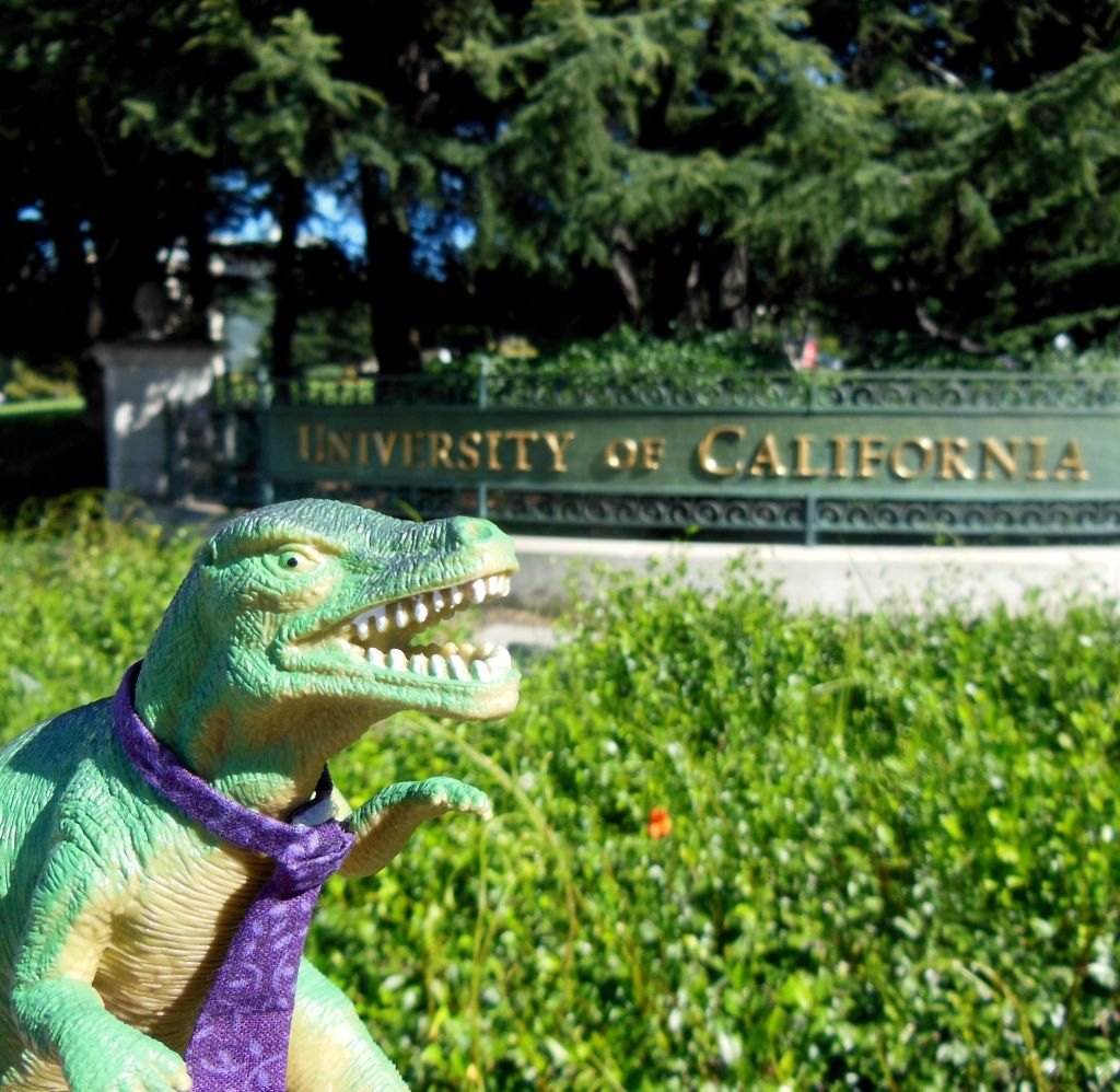 T-Jag Travels: Berkeley, San Francisco & the Bay&nbsp;Area